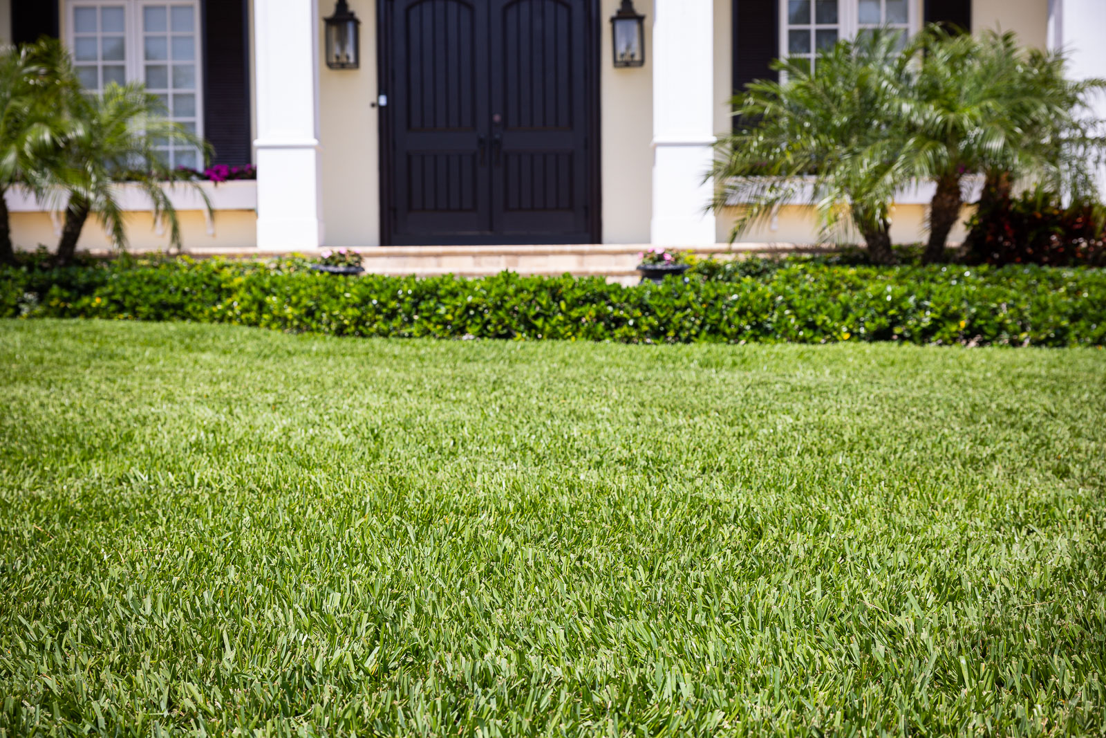 6 Lawn Care Tips for a Lush Green Florida Yard